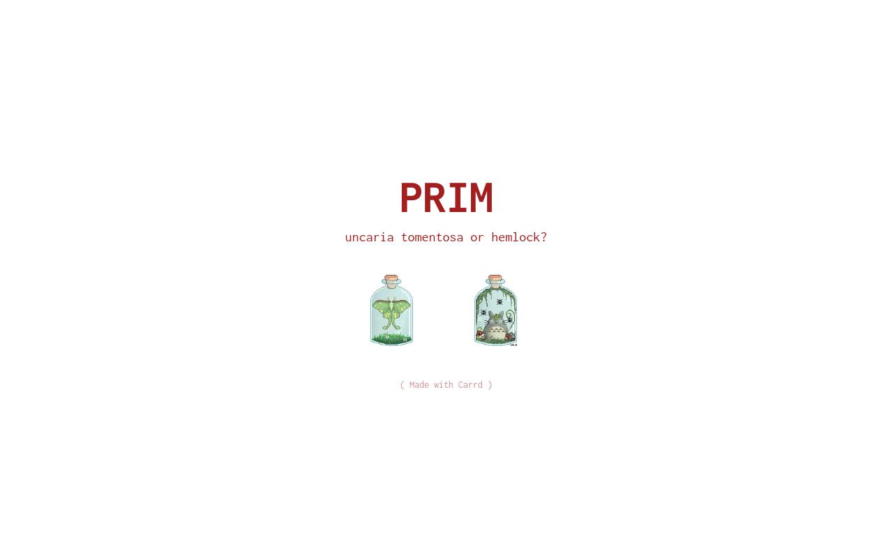 Carrd profile picture for @prim